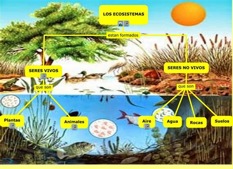 Biologia Ecosistema
