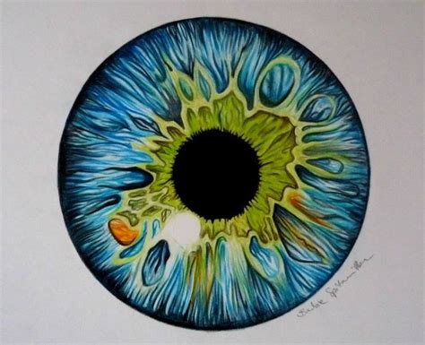 Colored Pencil Eye Drawing By Barbiespitzmuller On