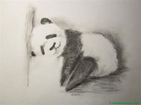 Dibujo A Lápiz De Oso Panda Web Del Maestro