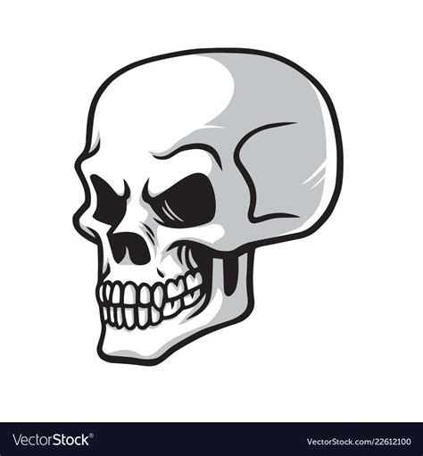 How to draw cartoon skeleton skeletons. Skull cartoon drawing icon Royalty Free Vector Image