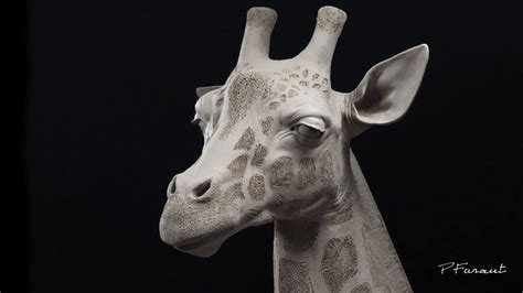 Sculpting Animals Giraffe Youtube