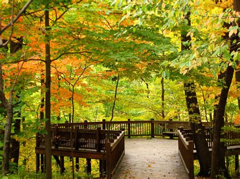 The 8 Best Things To Do At Highbanks Metro Park