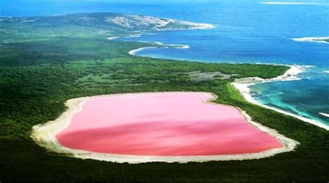 El Lago Hillier El Lago Rosa En Australia Pop Picture