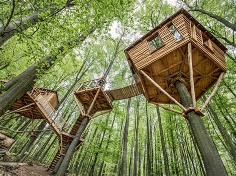 Comment Construire Une Cabane Dans Les Arbres Facilement Fabriquer Une Cabane Dans Les Arbres