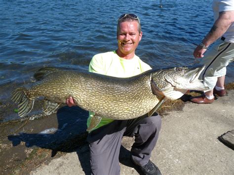 Englands Biggest Pike Landed — Angling Times