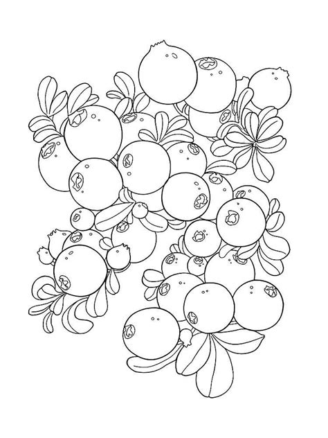 Blueberries Coloring Pages Printable Sketch Coloring Page