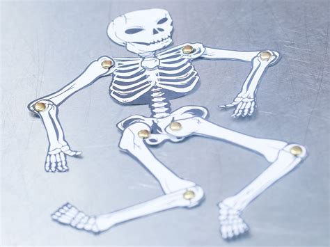 How To Make A Human Skeleton Out Of Paper Human Skeleton Halloween