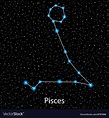 Pisces zodiac sign bright stars Royalty Free Vector Image