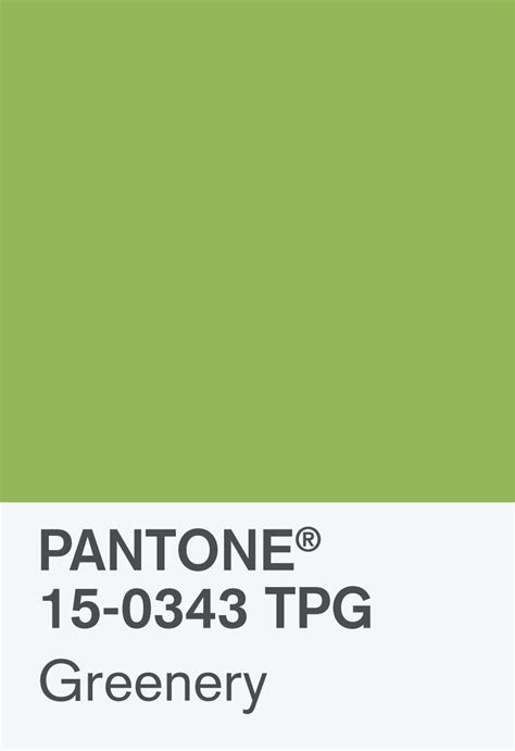 Pantone Color Of The Year 2017 Pantone 15 0343 Greenery Fashion