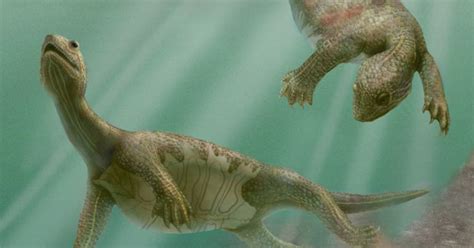 First Known Turtle Swam On The Half Shell