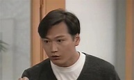 刑事侦缉档案（1995年陶大宇、郭可盈主演电视剧）_百度百科