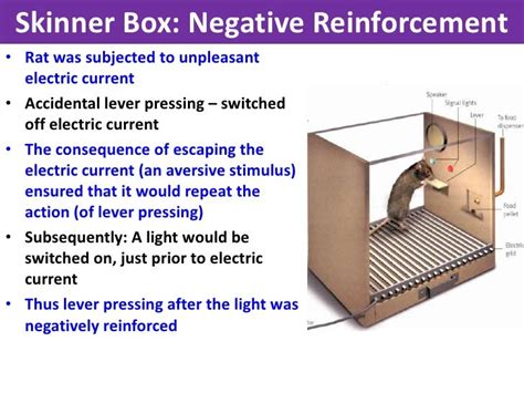 Skinner Box Vce U4 Psychology