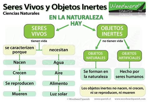 Seres Vivos Y Objetos Inertes Ciencias Naturales Learning Spanish