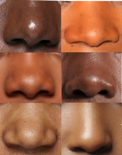 Nose Drawing Reference Reference Photos For Artists Nose Drawing