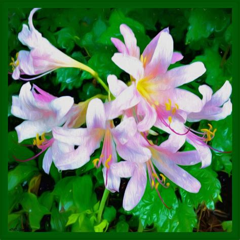 Lilies In Mid Summer Mixed Media By Debra Lynch Pixels