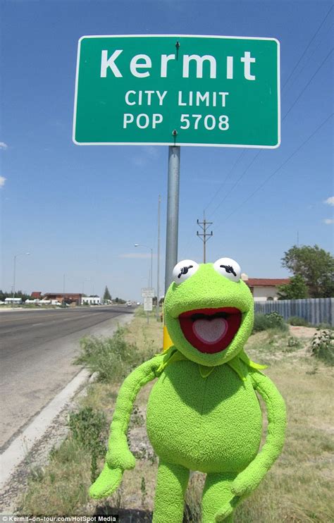 Who Said Its Not Easy Being Green Couple Treats Kermit The Frog To A Trip Around The World