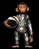 스페이스 침스 : 우주선을 찾아서 (Space chimps) 상세정보 | 씨네21