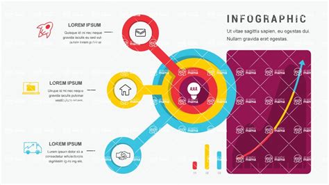 Ultimate Infographic Template Collection 3 Options Infographic