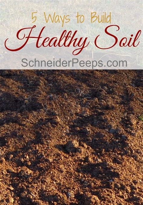 Soil With The Words 5 Ways To Build Healthy Soil On It And An Image Of