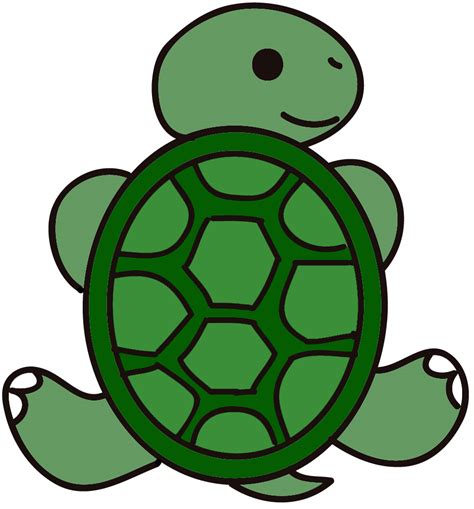 Cartoon Turtle Image