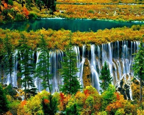 Nuorilang Waterfall In Autumn Jiuzhai Valley National Park China