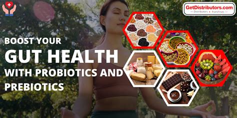 Boost Your Gut Health With Probiotics And Prebiotics Getdistributors