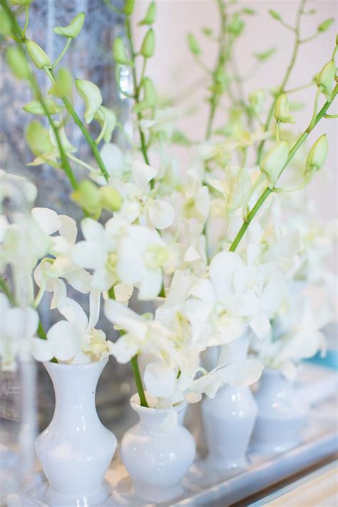 Low White Dendrobium Orchids In Small Modern White Vase Poshandprivate Eventdesign Photo