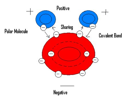 We did not find results for: Polar Molecule