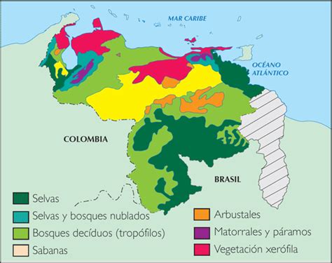 GeografÍa De Venezuela Vegetación De Venezuela