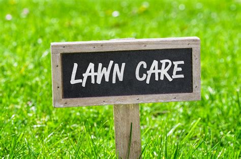 5 Lawn Care Tips To Keep Your Grass Healthy And Green