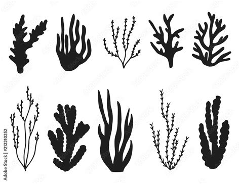 Water Plants Set Black Silhouette Vector Isolated Stock Vector Adobe