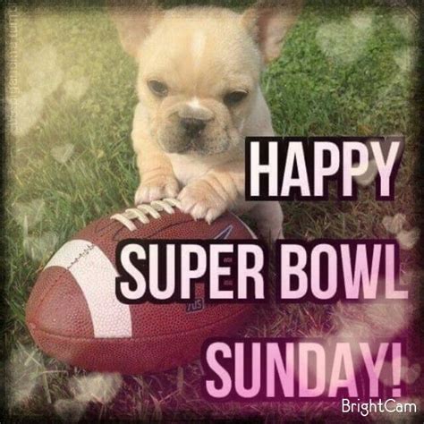Super Bowl Sunday Super Bowl Sunday Quotes Super Bowl Sunday Outfit Happy Super Bowl Sunday