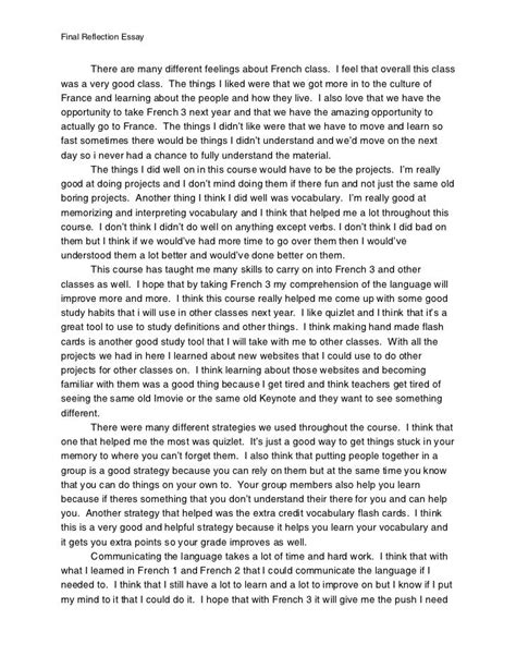 Final Reflection Essay