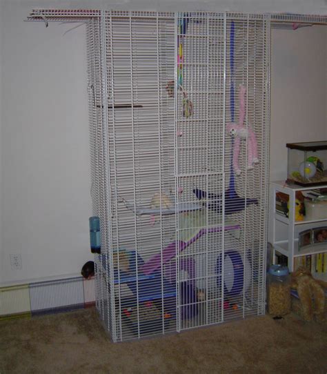 Homemade Rat Cage Guinea Pig Cages