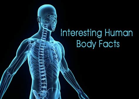 Fascinating Facts About Your Body Getdoc Says