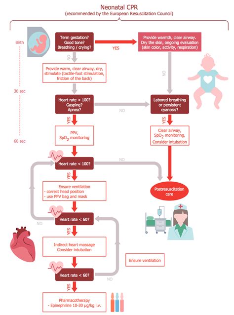 Cardiopulmonary Resuscitation Of Newborn Infants Healthcare Management Workflow Diagram