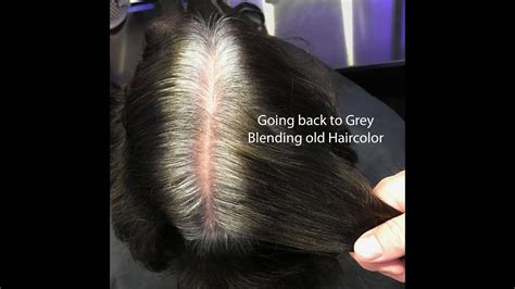 But, have you ever had a client coem in wanting. Hair color correction back to grey - YouTube