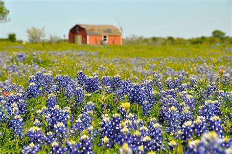 23 Most Beautiful Places To Visit In Texas The Crazy Tourist