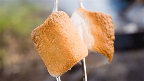 How To Roast The Most Perfect Marshmallow In The World