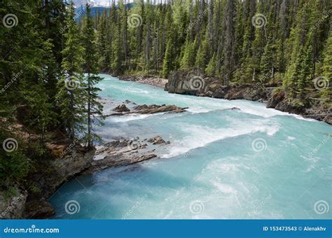 Beautiful Turquoise Kicking Horse River With The Purest Glacier Water
