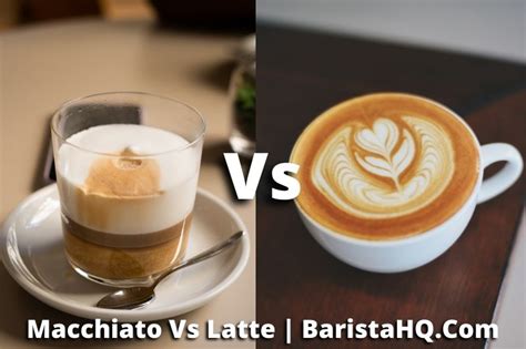 The Macchiato Vs Latte Showdown Unveiling The Differences