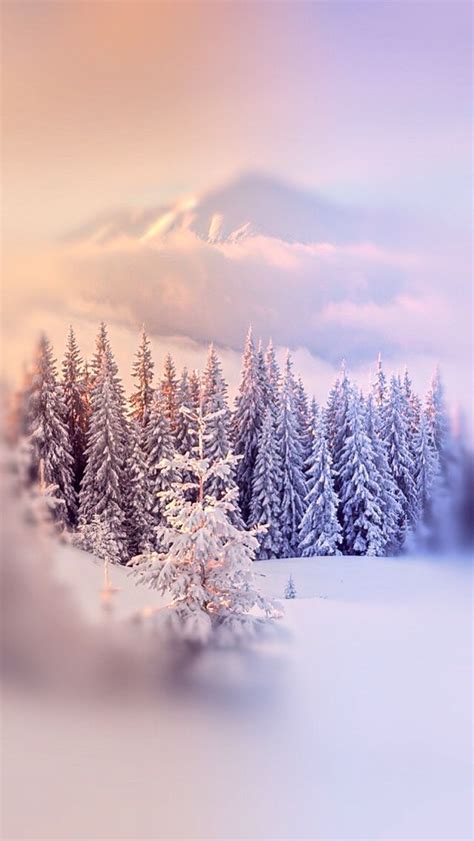 Pretty Backgrounds Pretty Wallpapers Wallpaper Backgrounds Winter