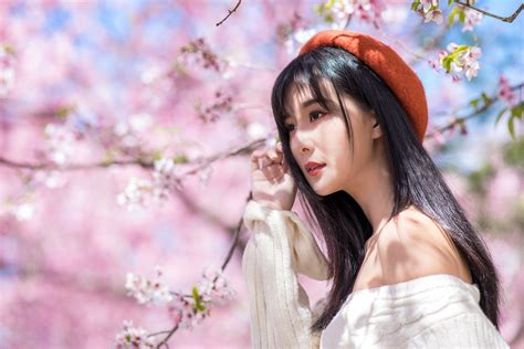 Asian Girl Near Sakura Tree