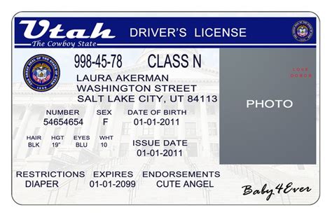 Ontario Drivers License Template Photoshop Passalovers