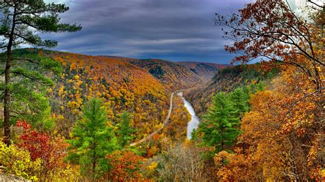 Weather Impacts Fall Colors In Pa With Peak Foliage