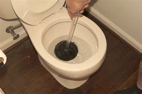 Isnt It High Time We Learn How To Unclog A Toilet Fast Yourproplumber
