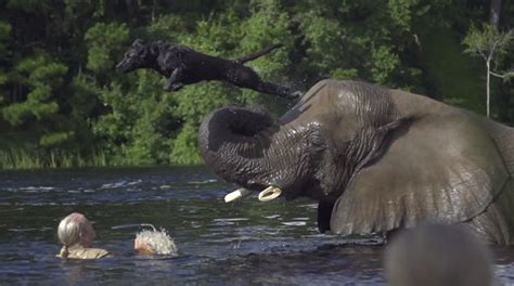Bubbles The Elephant And Bela The Dog Have A Beautiful Friendship