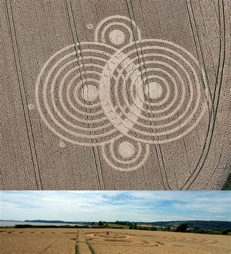 New Crop Circles From All Over The Europe Latest Ufo Sightings