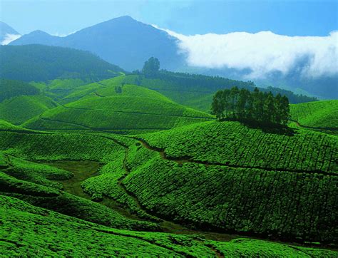 10 Reasons Why Kerala Should Be Your Next Holiday Destination