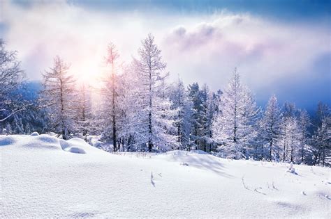 Winter 8k Ultra Hd Wallpaper Background Image 7730x5144